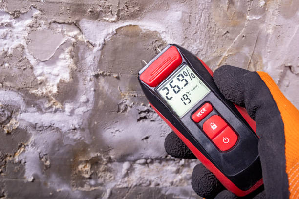 Best Mold Testing  in Foster City, CA
