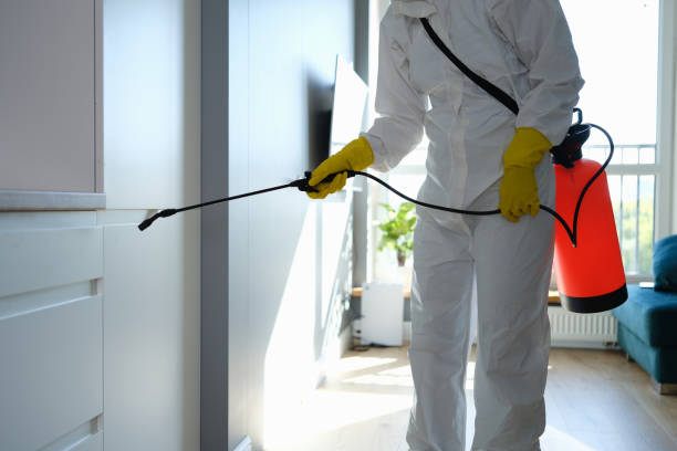 Best Emergency Mold Removal  in Foster City, CA