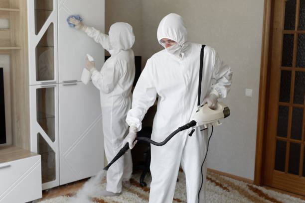 Professional Mold Removal in Foster City, CA