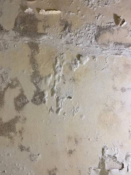 Water Damage Restoration in Foster City, CA